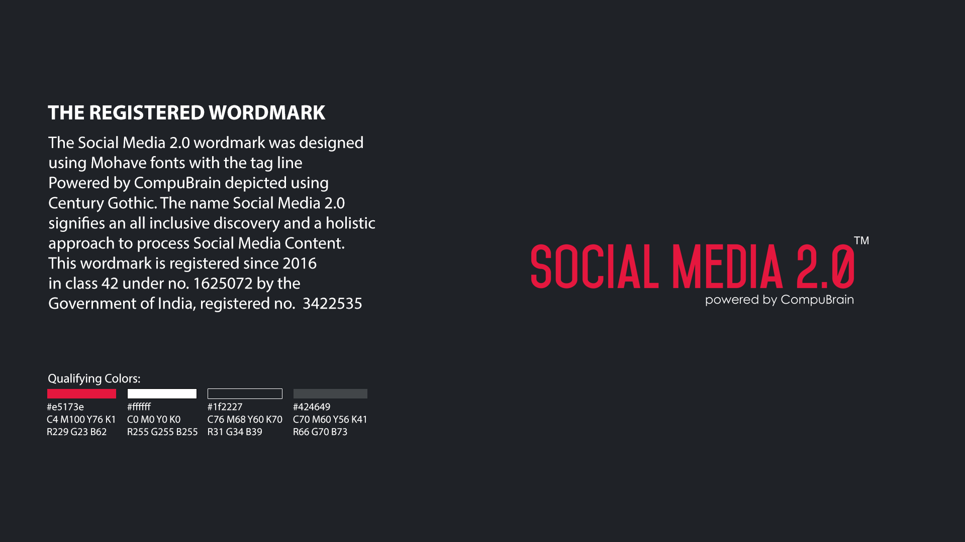 Social Media 2.0 Brand Manual Wordmark